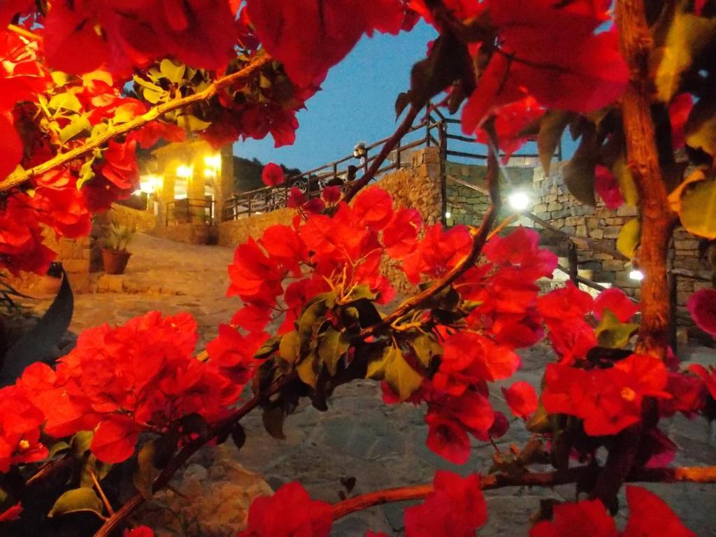 منزل الضيف كاستيلاّماري ديل غو  في Casale Del Golfo المظهر الخارجي الصورة